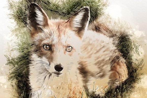 Animal Graphics for Modern Design Projects