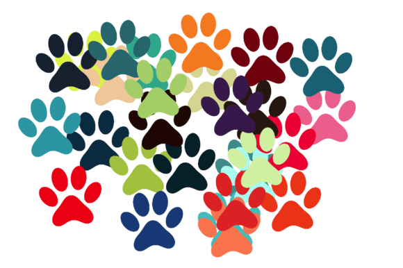Colorful Creatures: Animal Paw Print - A Design Deep Dive