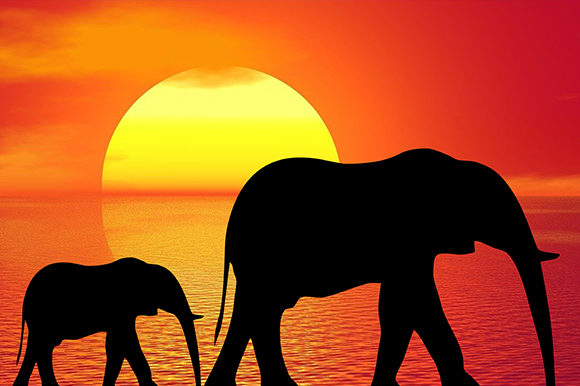 Elephant Sunset Sunrise Animal Ocean Sea: A Design Asset for Every Story